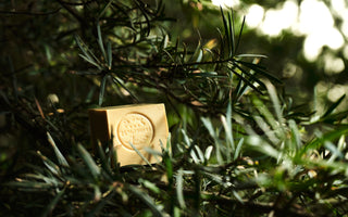 Unveiling the Timeless Beauty Secret of Aleppo Soap