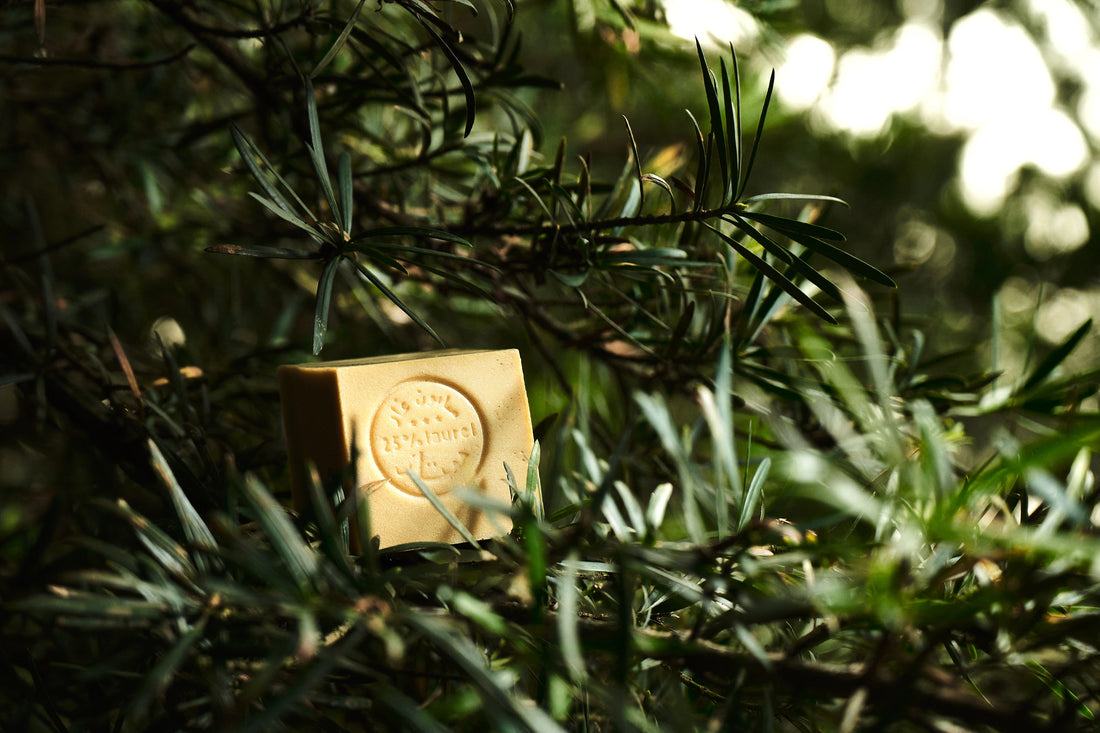 Unveiling the Timeless Beauty Secret of Aleppo Soap