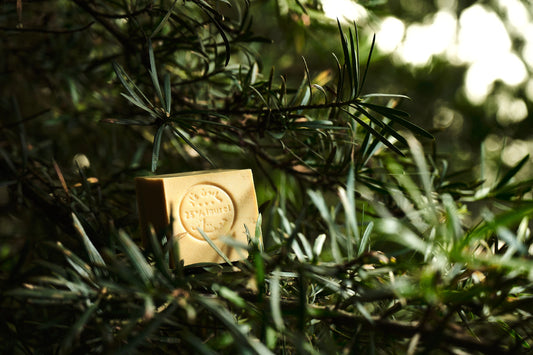 Unveiling the Timeless Beauty Secret of Aleppo Soap