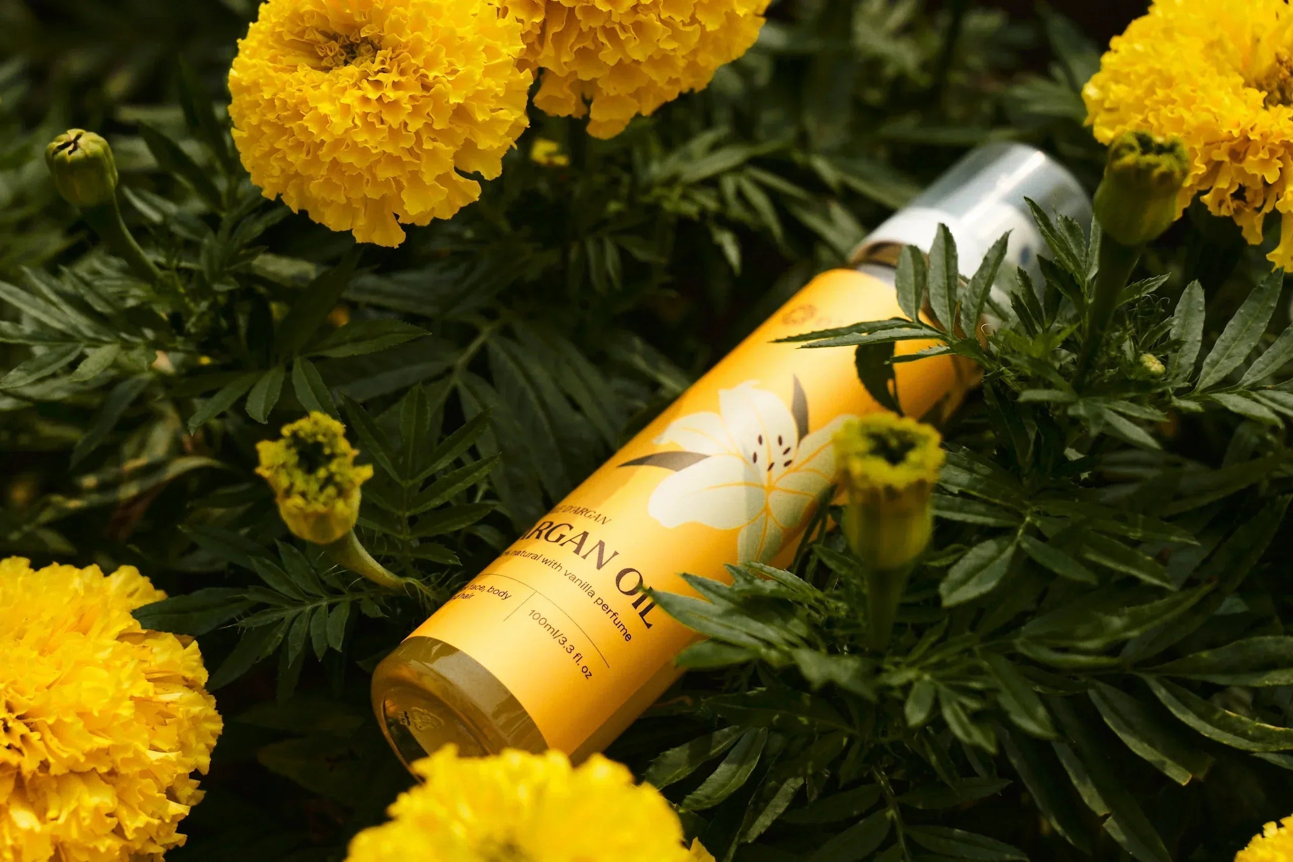A bottle of e'lioe pure argan oil for face care nestled in a field of vibrant yellow marigold flowers.