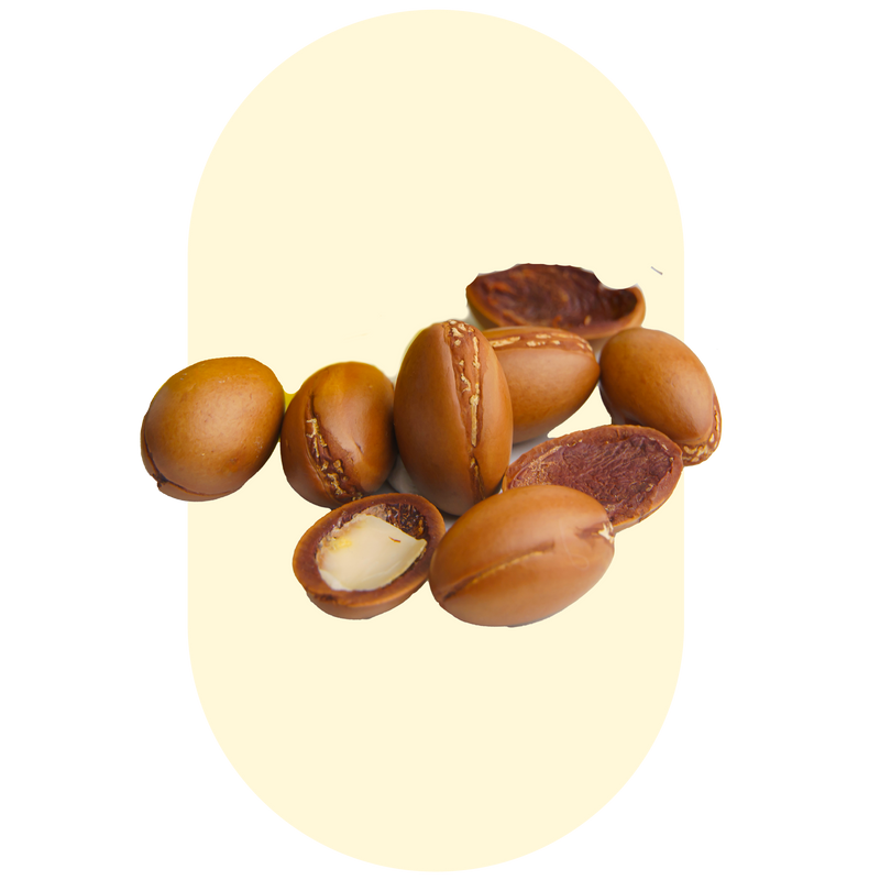 Argan Oil Collection / 4 x 10ml