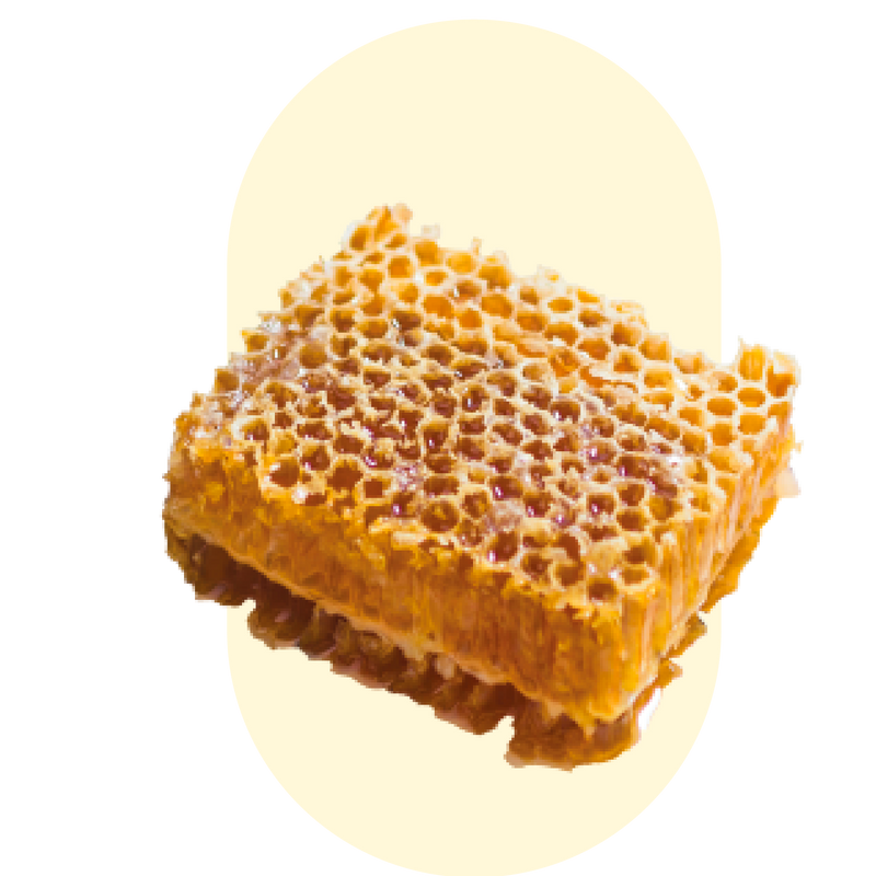 Default Title