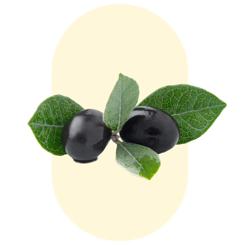 kopi